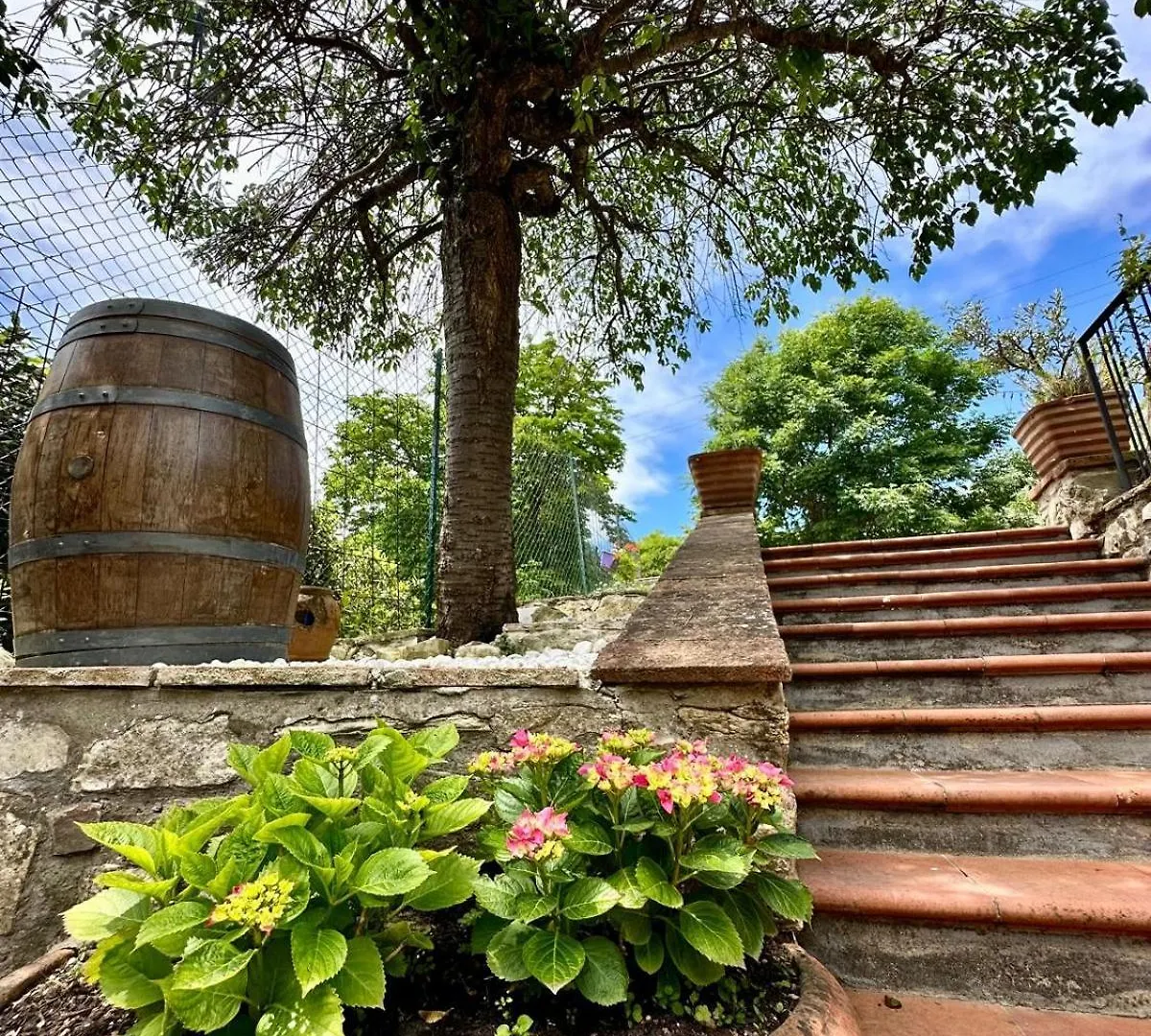 Agriturismo Tassinaia Pontassieve 0*,