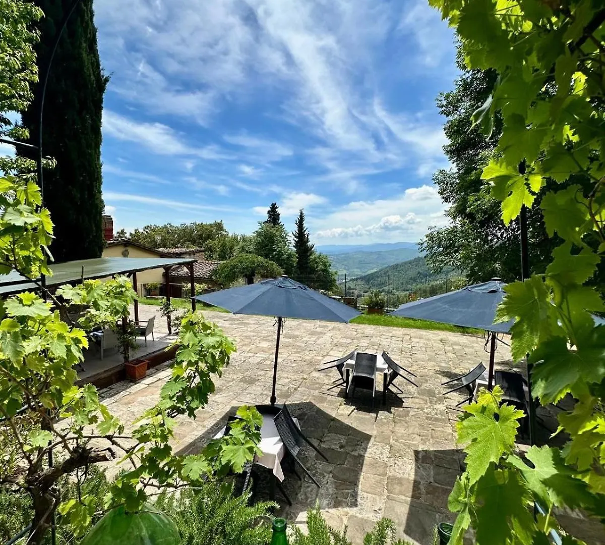 Agriturismo Tassinaia 波塔斯维 农家乐